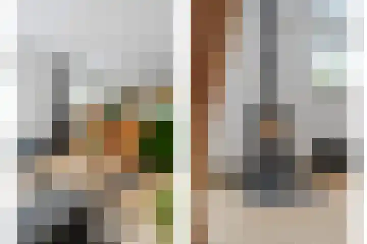 Berkenlaan 15 Hardenberg thumbnail 22