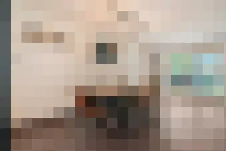 Berkenlaan 15 Hardenberg thumbnail 23
