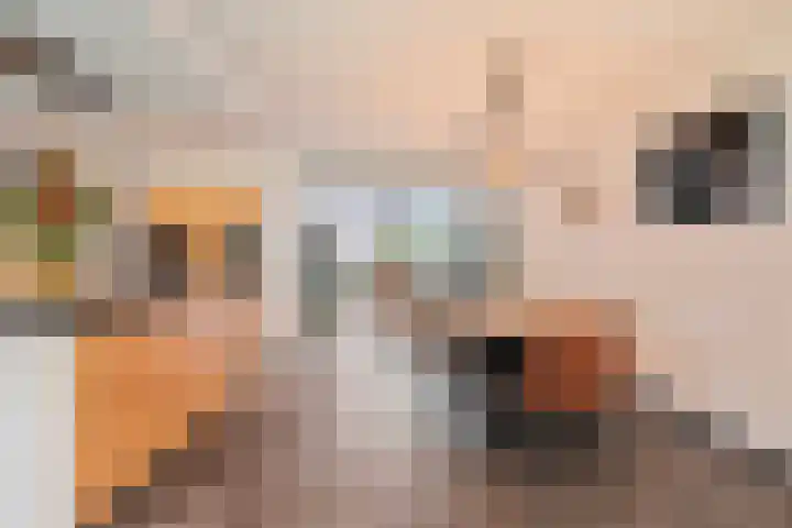 Berkenlaan 15 Hardenberg thumbnail 24