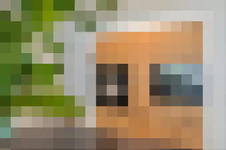 Berkenlaan 15 Hardenberg thumbnail 26