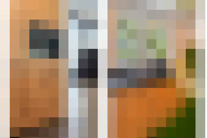Berkenlaan 15 Hardenberg thumbnail 27