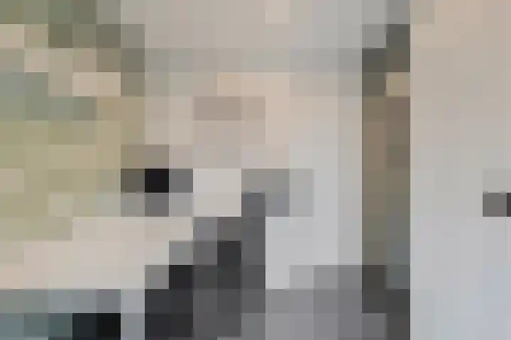 Berkenlaan 15 Hardenberg thumbnail 28