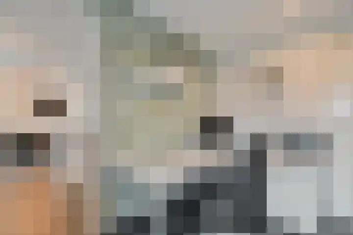Berkenlaan 15 Hardenberg thumbnail 29