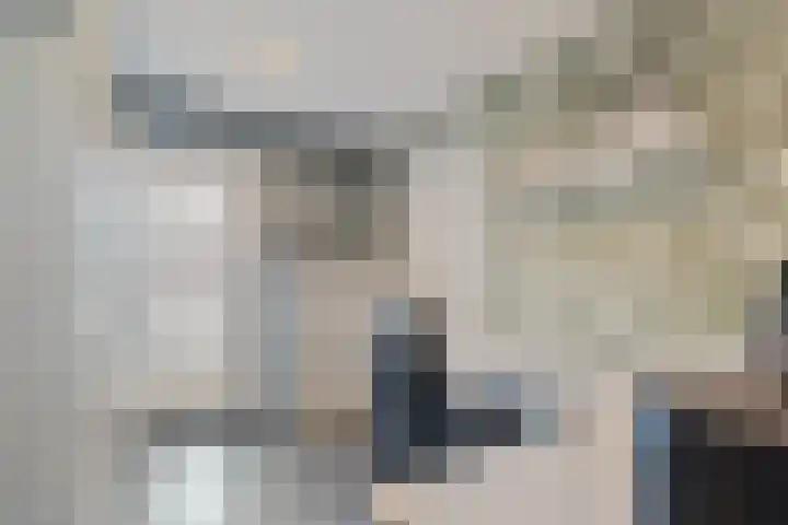 Berkenlaan 15 Hardenberg thumbnail 30