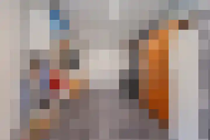 Berkenlaan 15 Hardenberg thumbnail 32