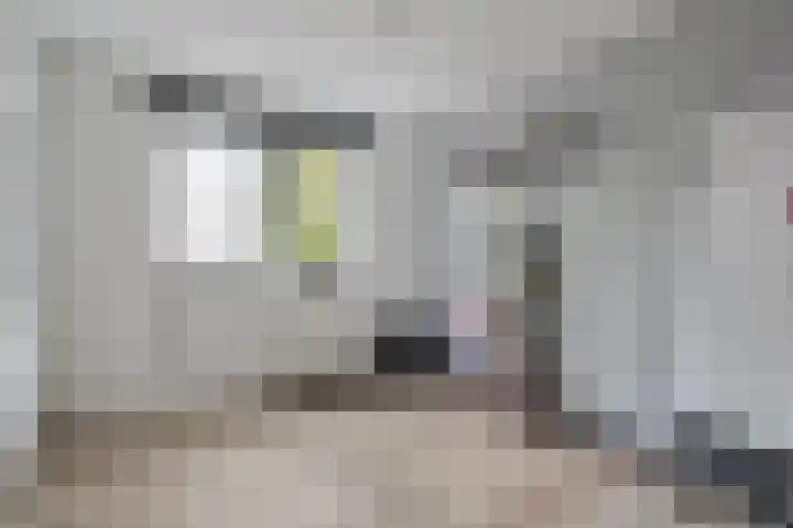 Berkenlaan 15 Hardenberg thumbnail 34