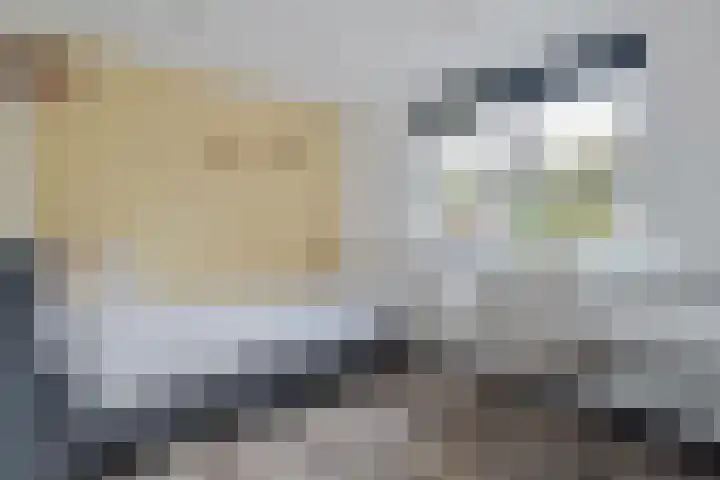 Berkenlaan 15 Hardenberg thumbnail 38