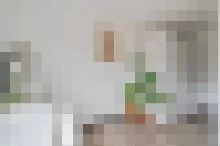 Berkenlaan 15 Hardenberg thumbnail 39