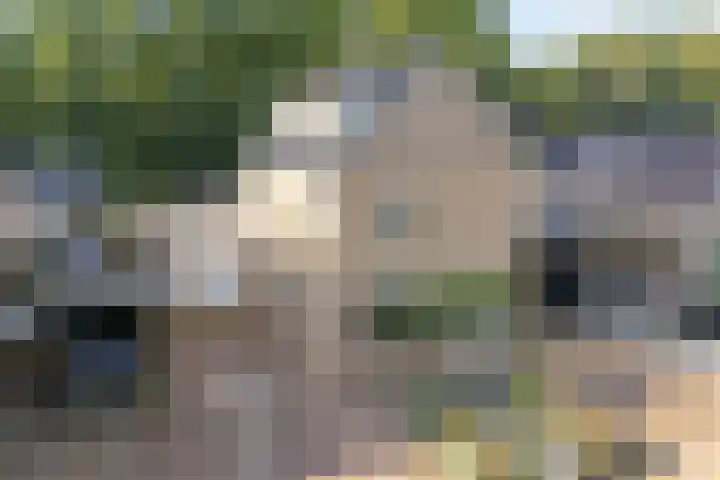 Berkenlaan 15 Hardenberg thumbnail 4