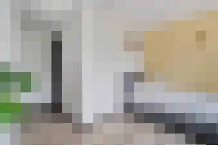 Berkenlaan 15 Hardenberg thumbnail 40