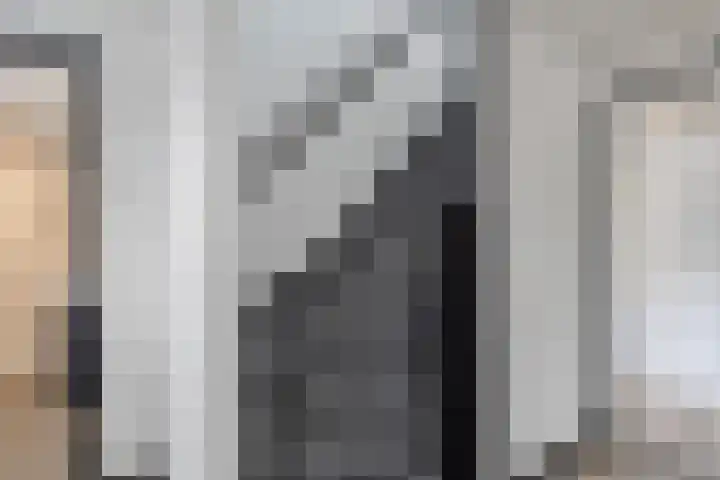 Berkenlaan 15 Hardenberg thumbnail 43