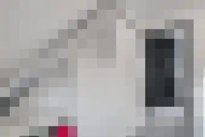 Berkenlaan 15 Hardenberg thumbnail 45
