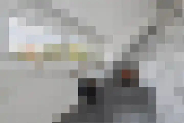 Berkenlaan 15 Hardenberg thumbnail 46
