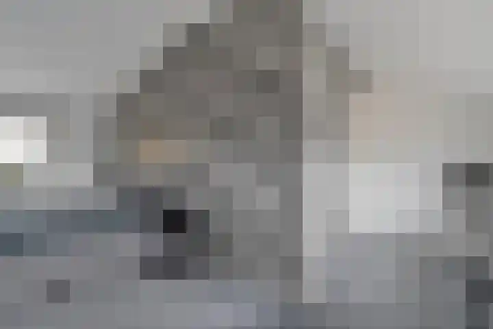 Berkenlaan 15 Hardenberg thumbnail 47