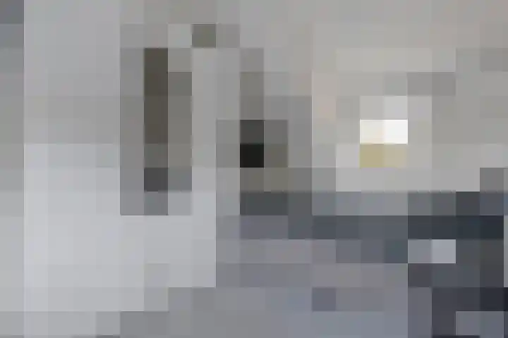 Berkenlaan 15 Hardenberg thumbnail 48