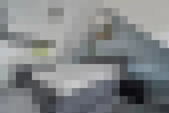 Berkenlaan 15 Hardenberg thumbnail 49