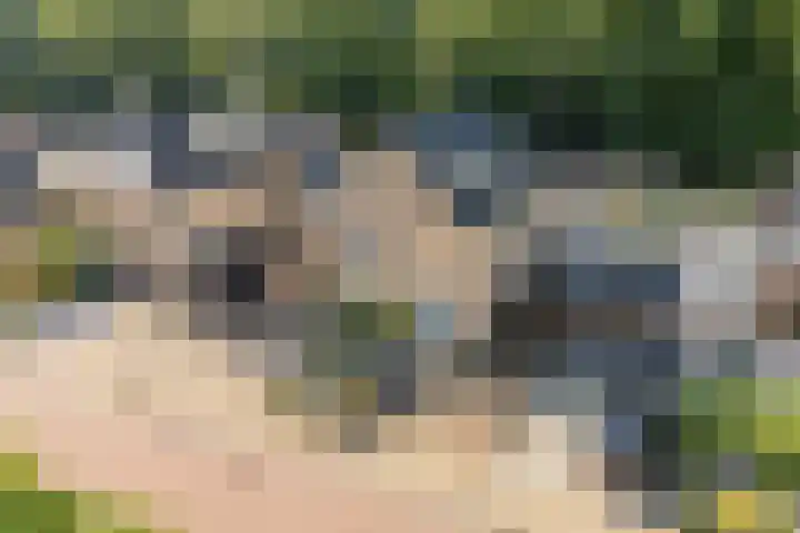 Berkenlaan 15 Hardenberg thumbnail 5