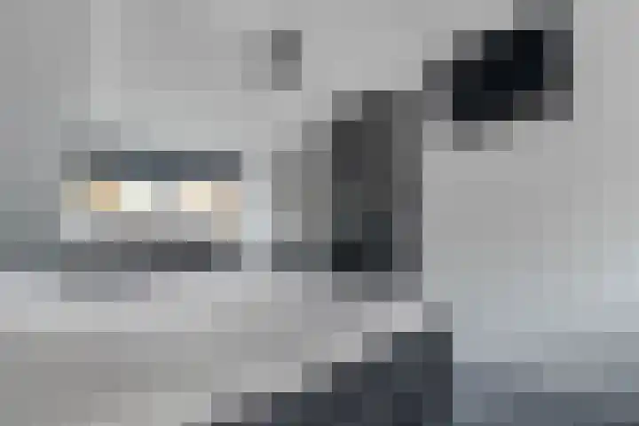 Berkenlaan 15 Hardenberg thumbnail 50
