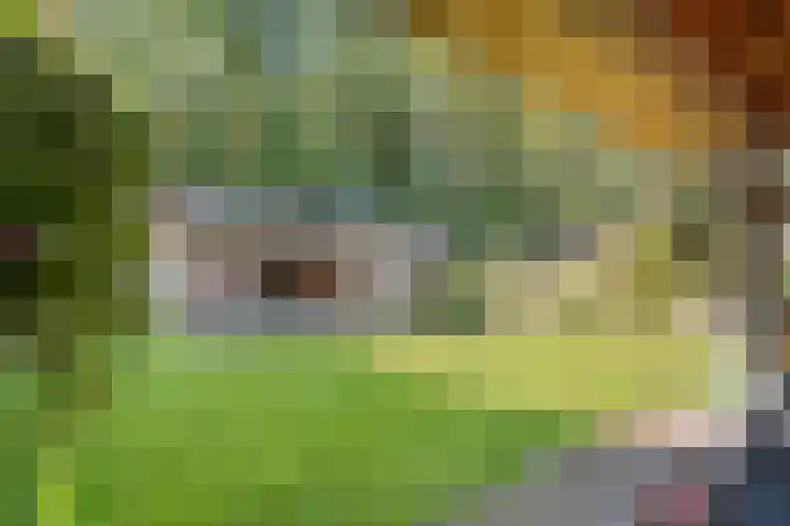 Berkenlaan 15 Hardenberg thumbnail 51