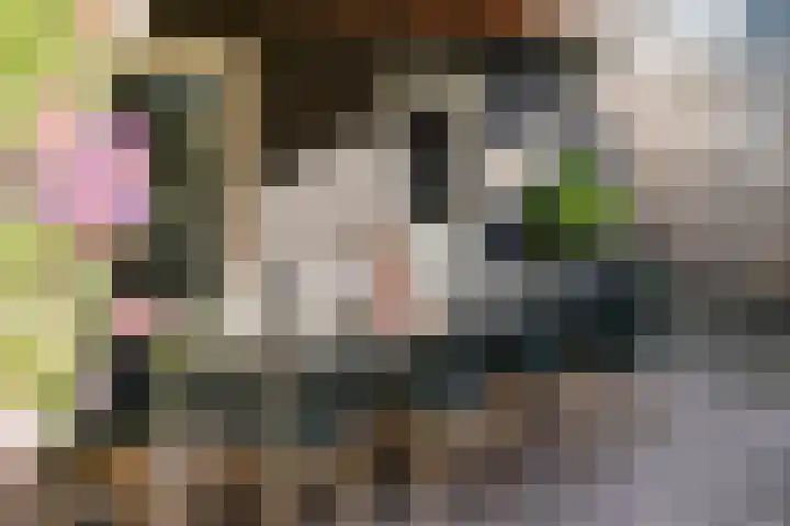 Berkenlaan 15 Hardenberg thumbnail 53