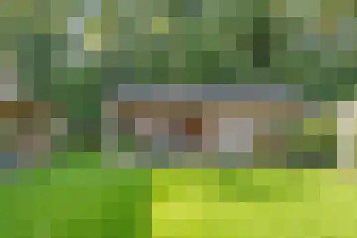 Berkenlaan 15 Hardenberg thumbnail 54