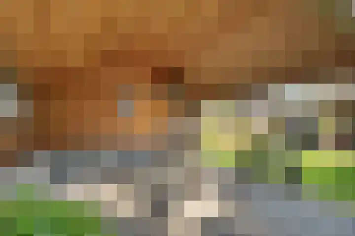 Berkenlaan 15 Hardenberg thumbnail 55