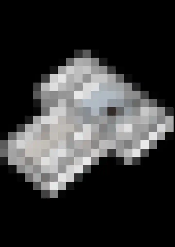 Berkenlaan 15 Hardenberg thumbnail 57