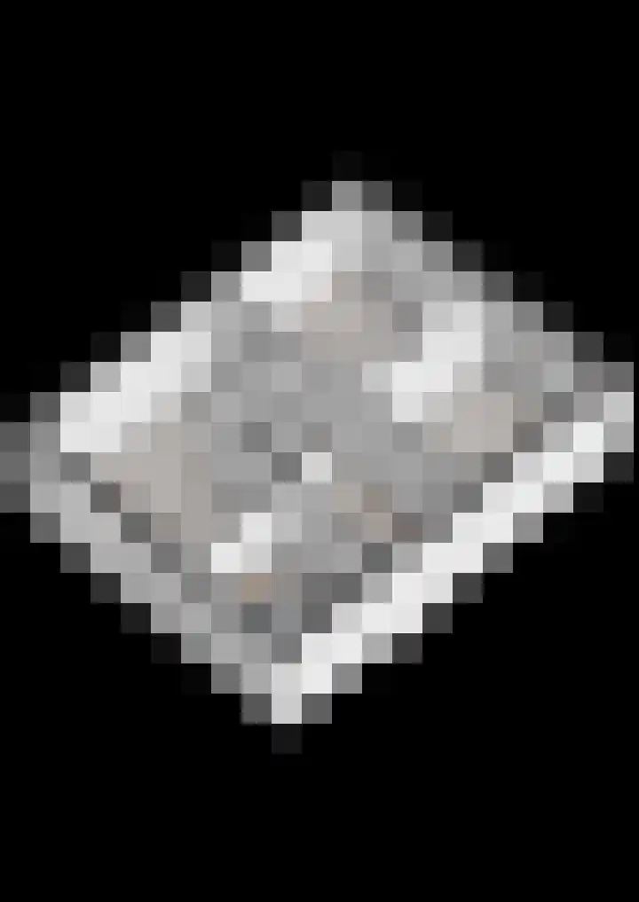 Berkenlaan 15 Hardenberg thumbnail 59