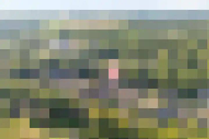 Berkenlaan 15 Hardenberg thumbnail 6