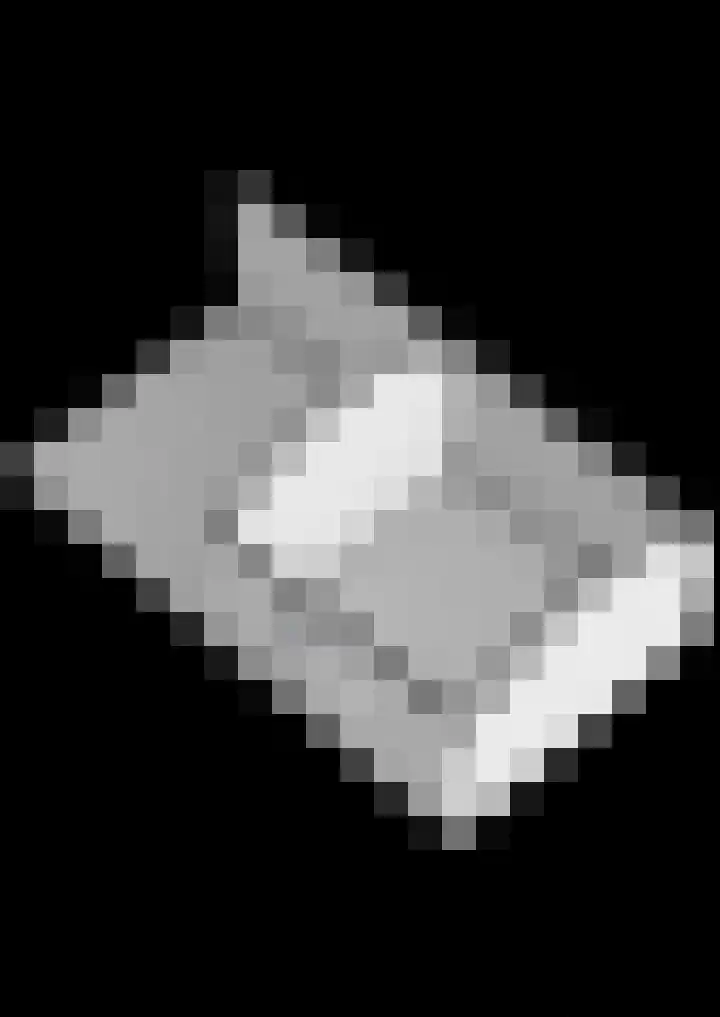 Berkenlaan 15 Hardenberg thumbnail 63