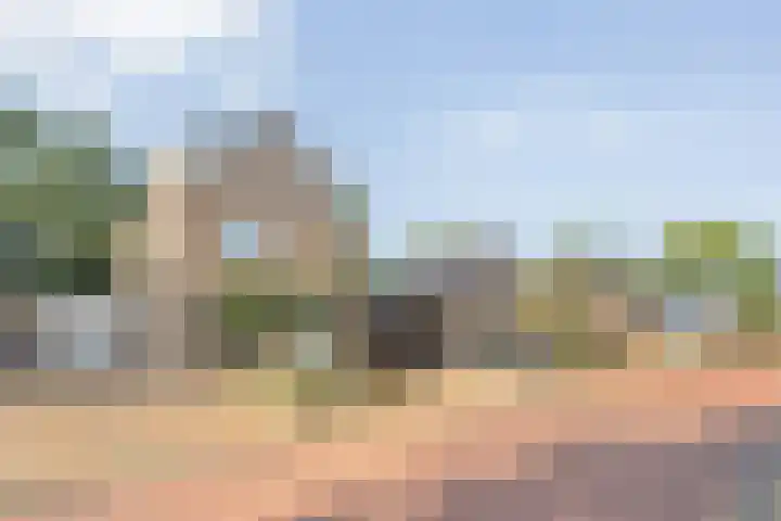 Berkenlaan 15 Hardenberg thumbnail 9