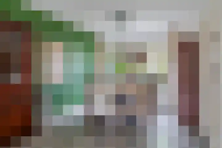 Berkenlaan 15 Middelharnis thumbnail 10