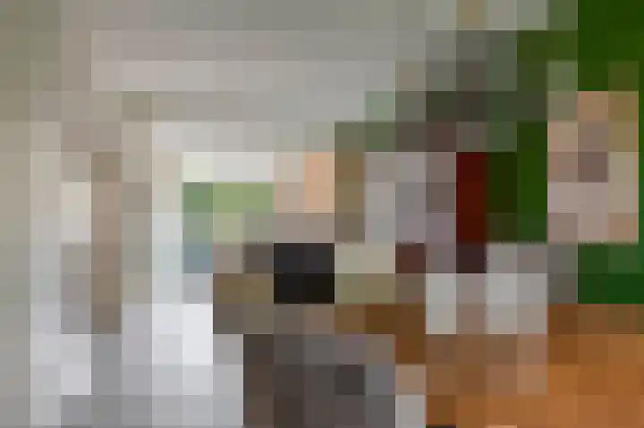 Berkenlaan 15 Middelharnis thumbnail 11