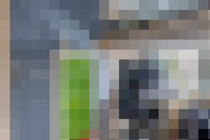 Berkenlaan 15 Middelharnis thumbnail 23