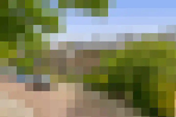 Berkenlaan 15 Middelharnis thumbnail 27