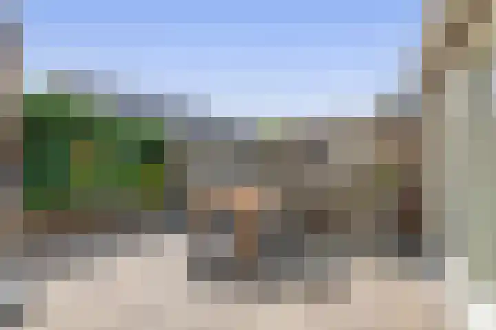 Berkenlaan 15 Middelharnis thumbnail 29