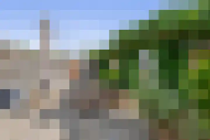 Berkenlaan 15 Middelharnis thumbnail 30
