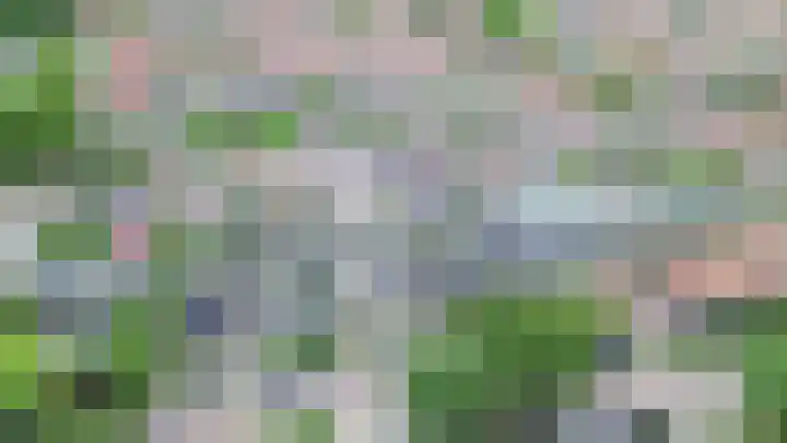 Berkenlaan 15 Middelharnis thumbnail 34