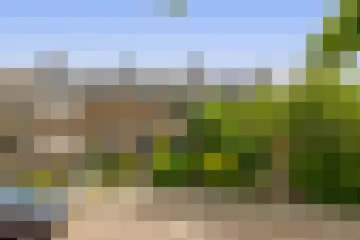 Berkenlaan 15 Middelharnis thumbnail 4