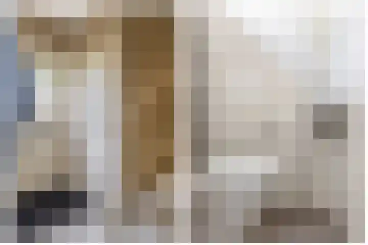 Berkenlaan 15 Middelharnis thumbnail 5