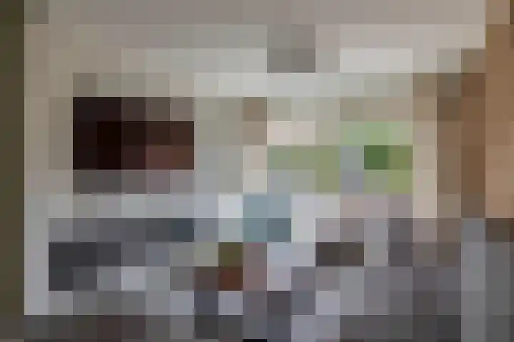 Berkenlaan 15 Middelharnis thumbnail 7