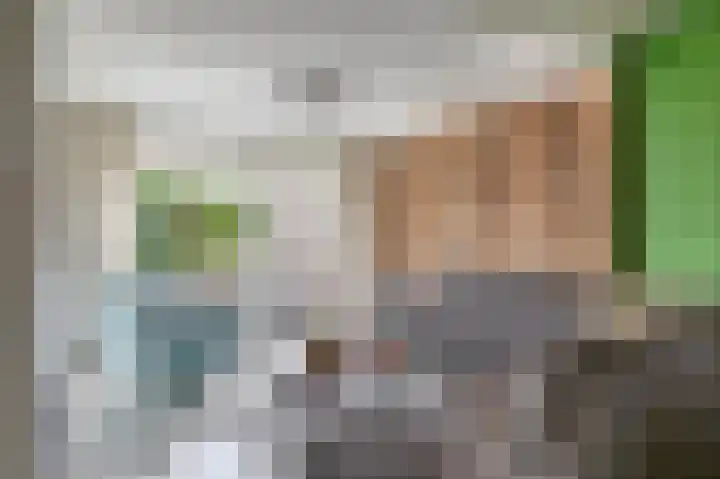 Berkenlaan 15 Middelharnis thumbnail 9