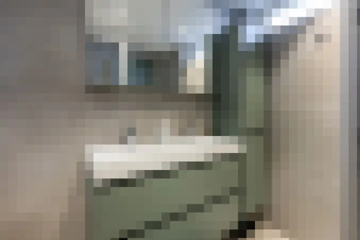 Berkenlaan 15 Ooltgensplaat thumbnail 18