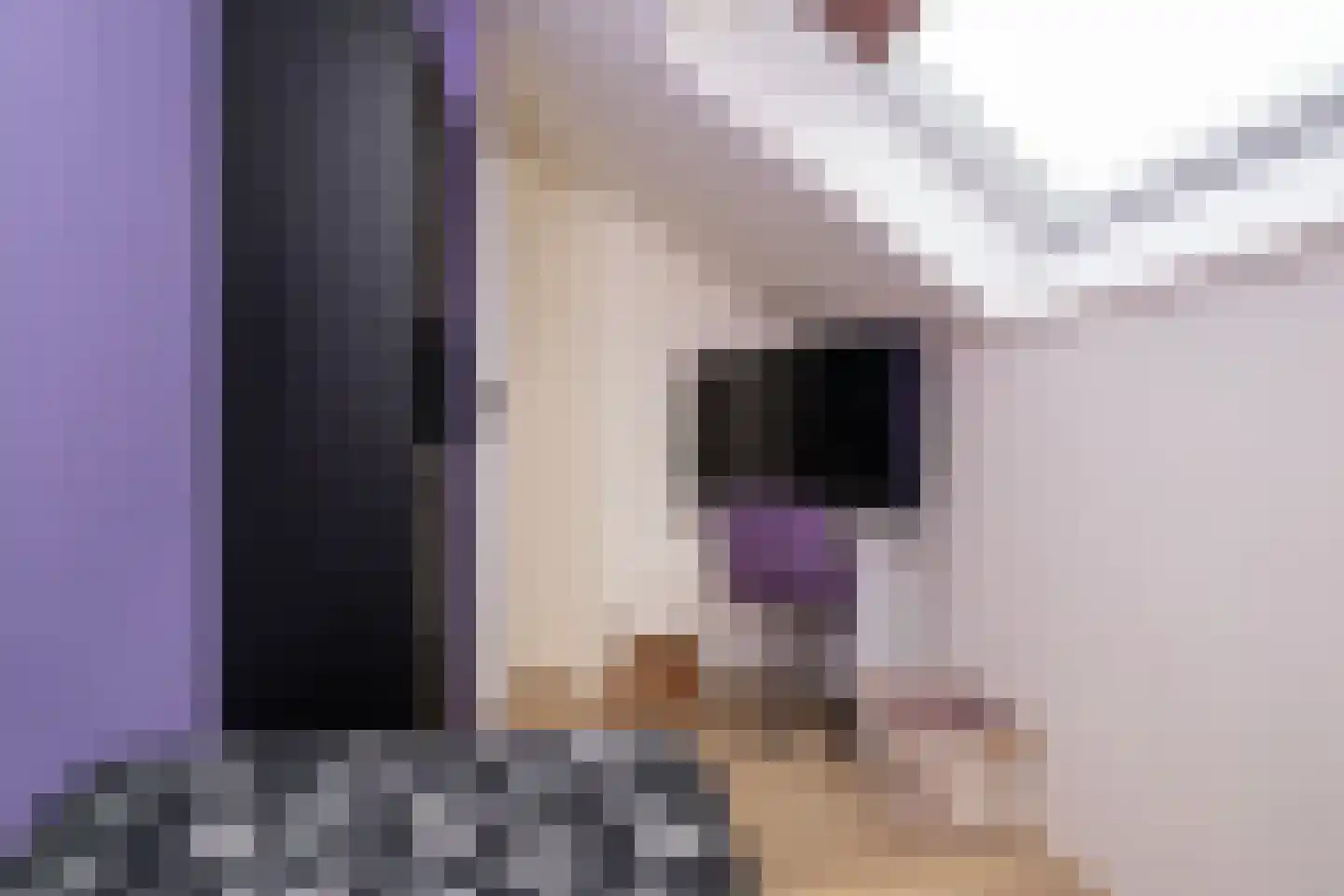 Berkenlaan 15 Ooltgensplaat thumbnail 22