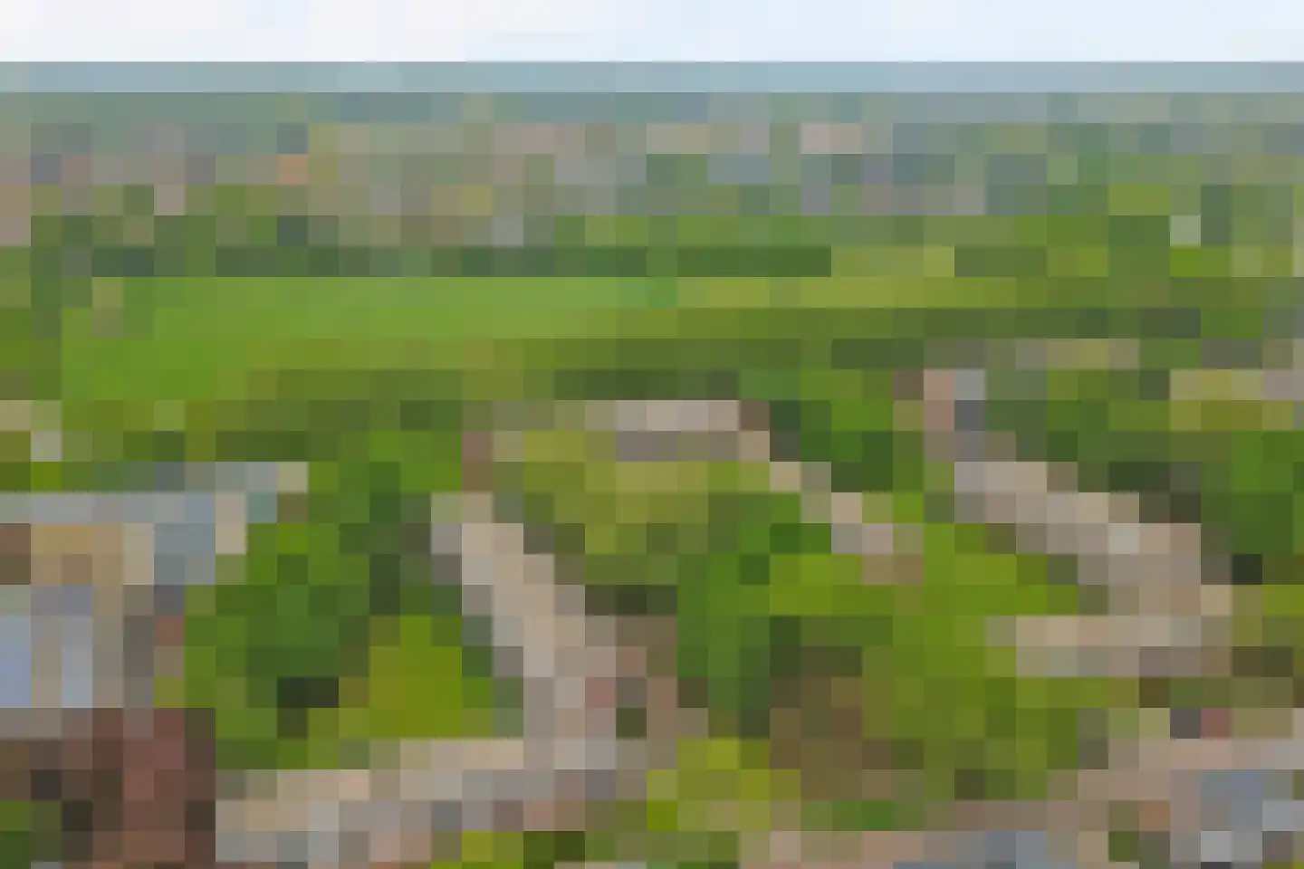 Berkenlaan 151 Zutphen thumbnail 28