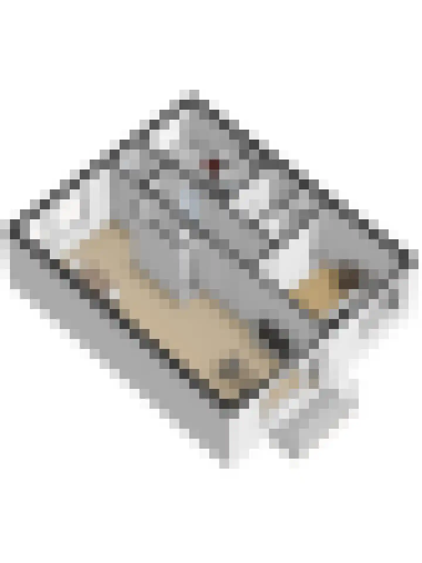 Berkenlaan 151 Zutphen thumbnail 32