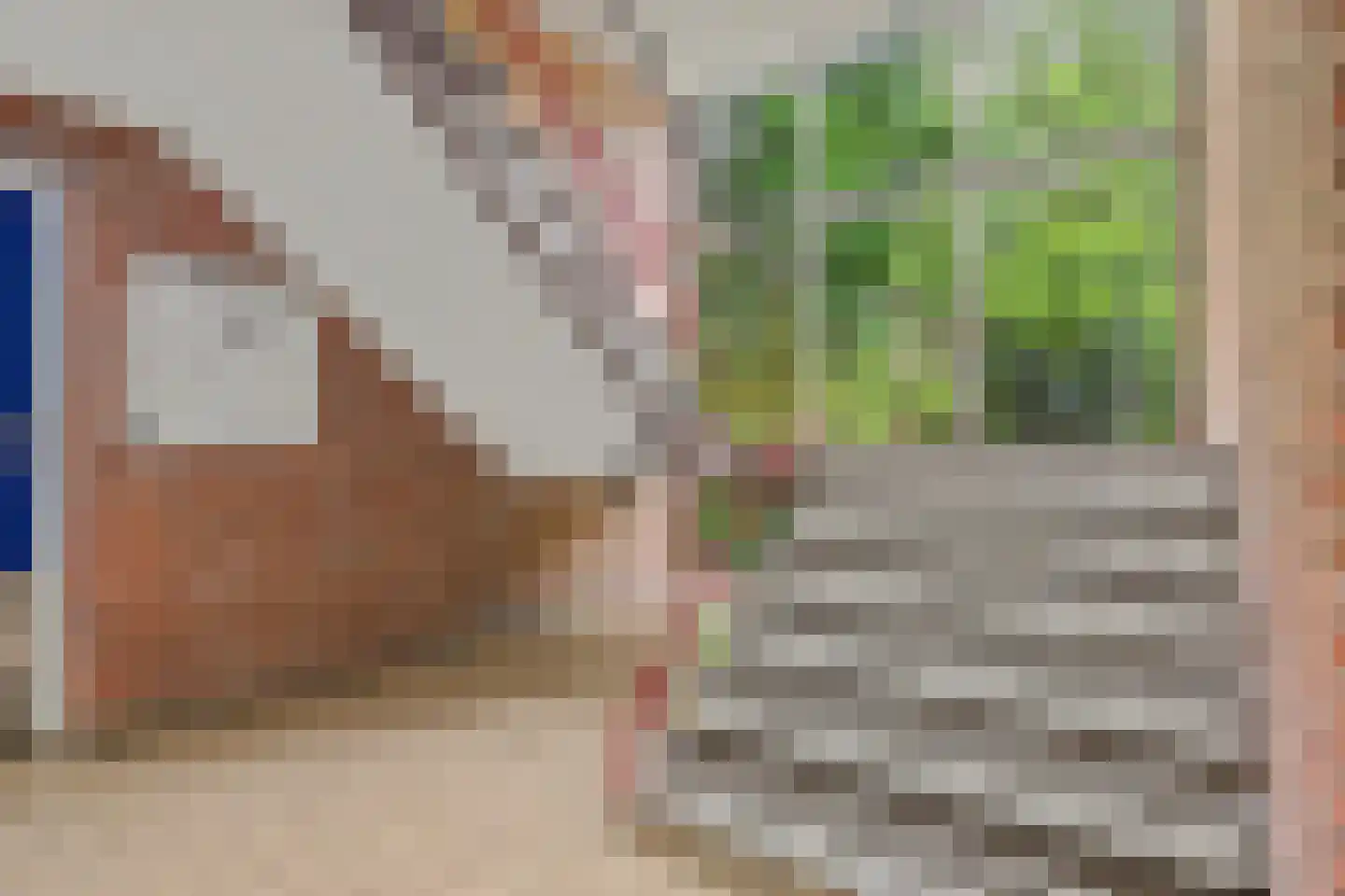 Berkenlaan 151 Zutphen thumbnail 4