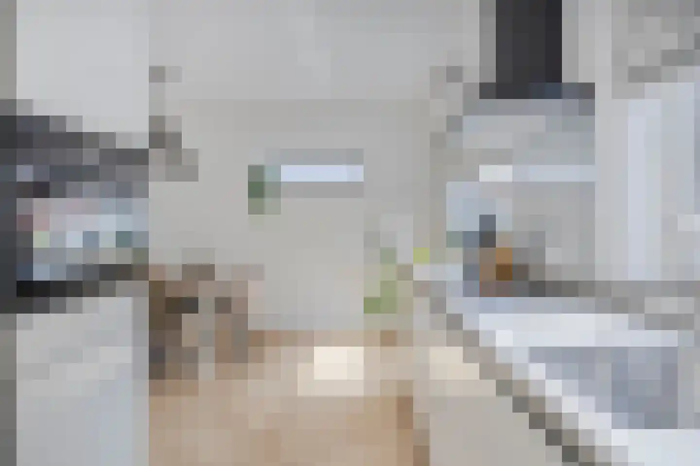 Berkenlaan 16 Bunde thumbnail 11