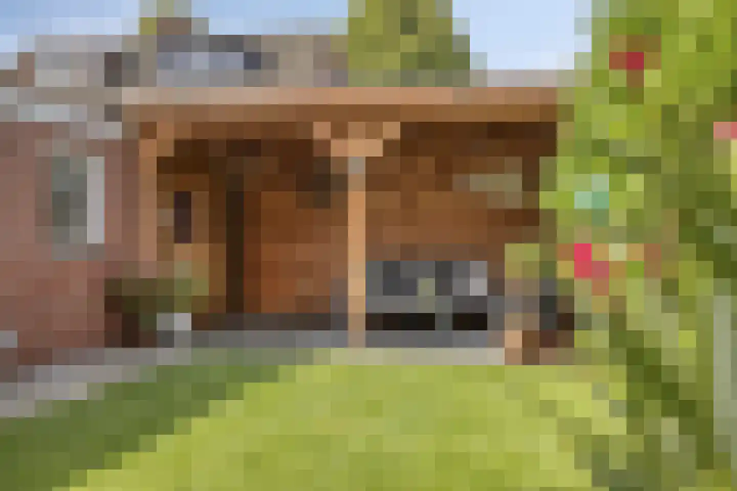Berkenlaan 16 Bunde thumbnail 25