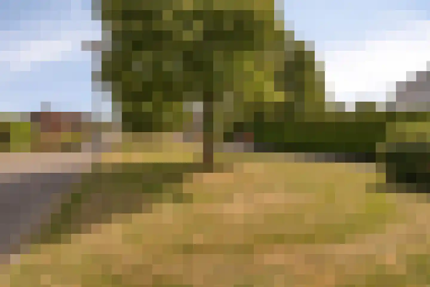 Berkenlaan 16 Bunde thumbnail 36